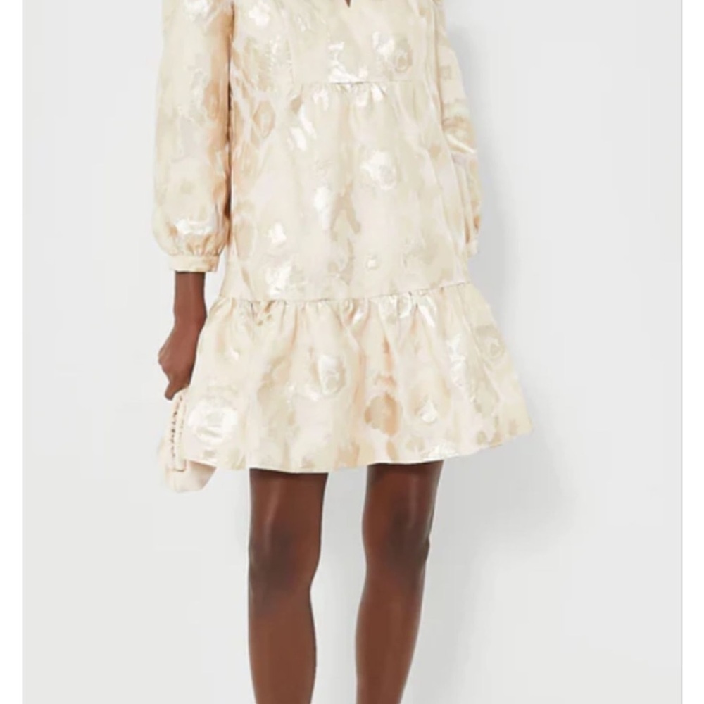 Gold and Ivory Tuckernuck Champagne Fil Coupe Palmerston Dress NWT